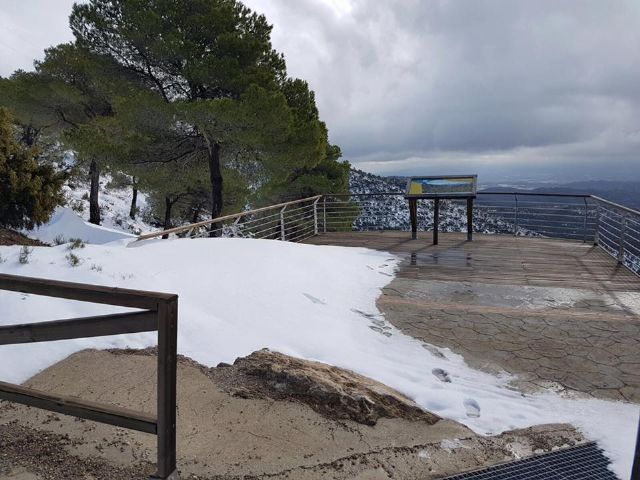 Nevada en Totana - 18 de enero de 2017 - 460